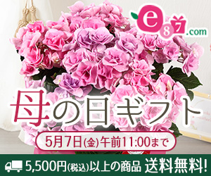 母の日特集 ぽいん貯モール